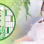 『絵茉』特集：スペシャルグラビア